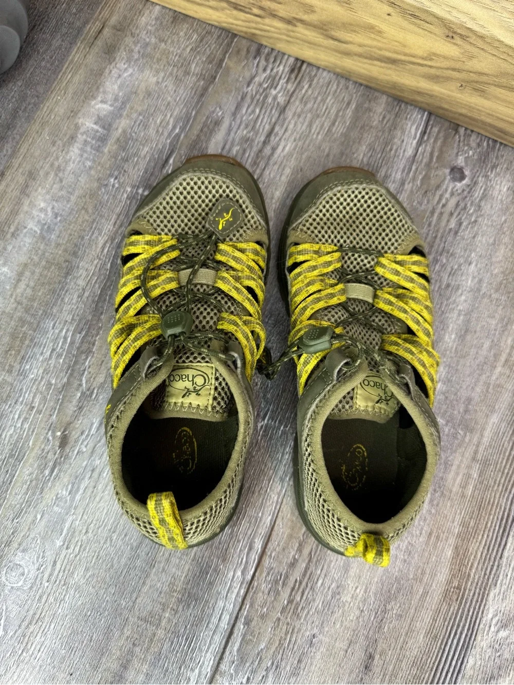 Chaco avocado green